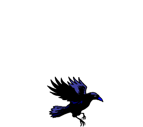 corbeau.gif (66626 octets)
