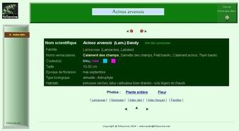 Modle de fiche de prsentation (cliquez pour agrandir)