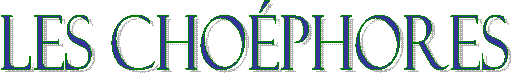 Les Choéphores