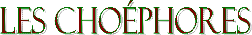 Les Choéphores